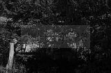 burnt down house 1_019